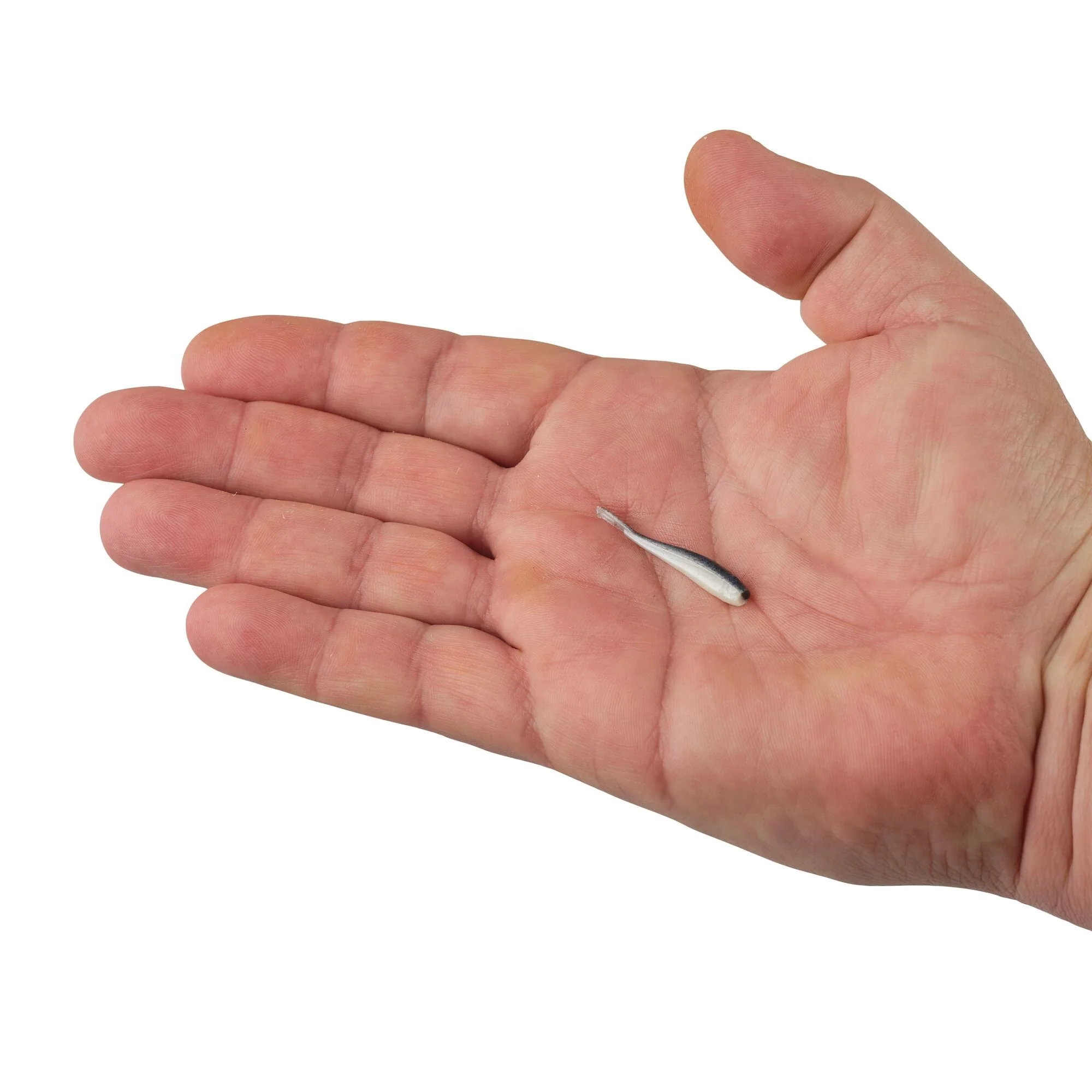 Berkley Gulp!® Minnow - Image 73