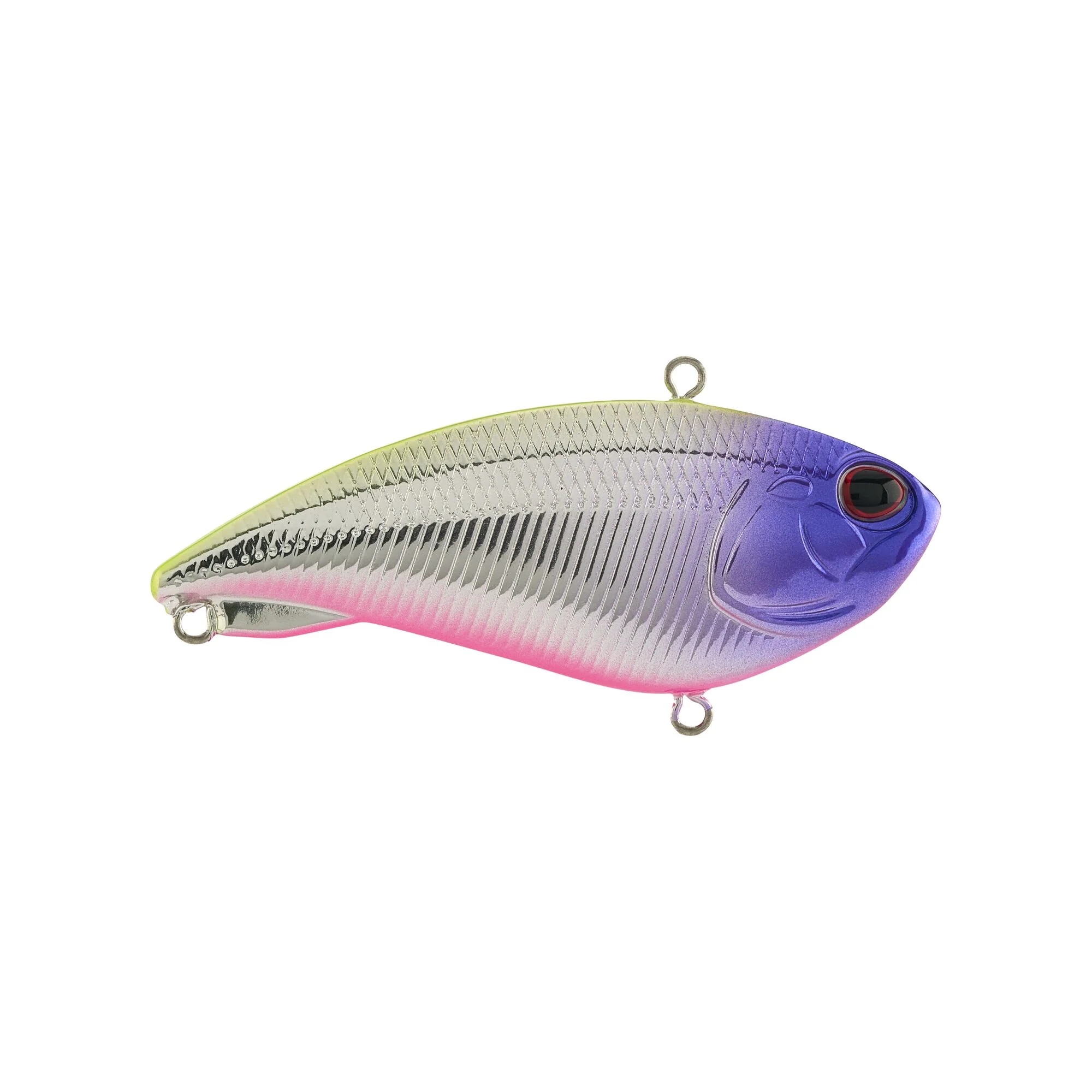 Berkley Jack - Image 14