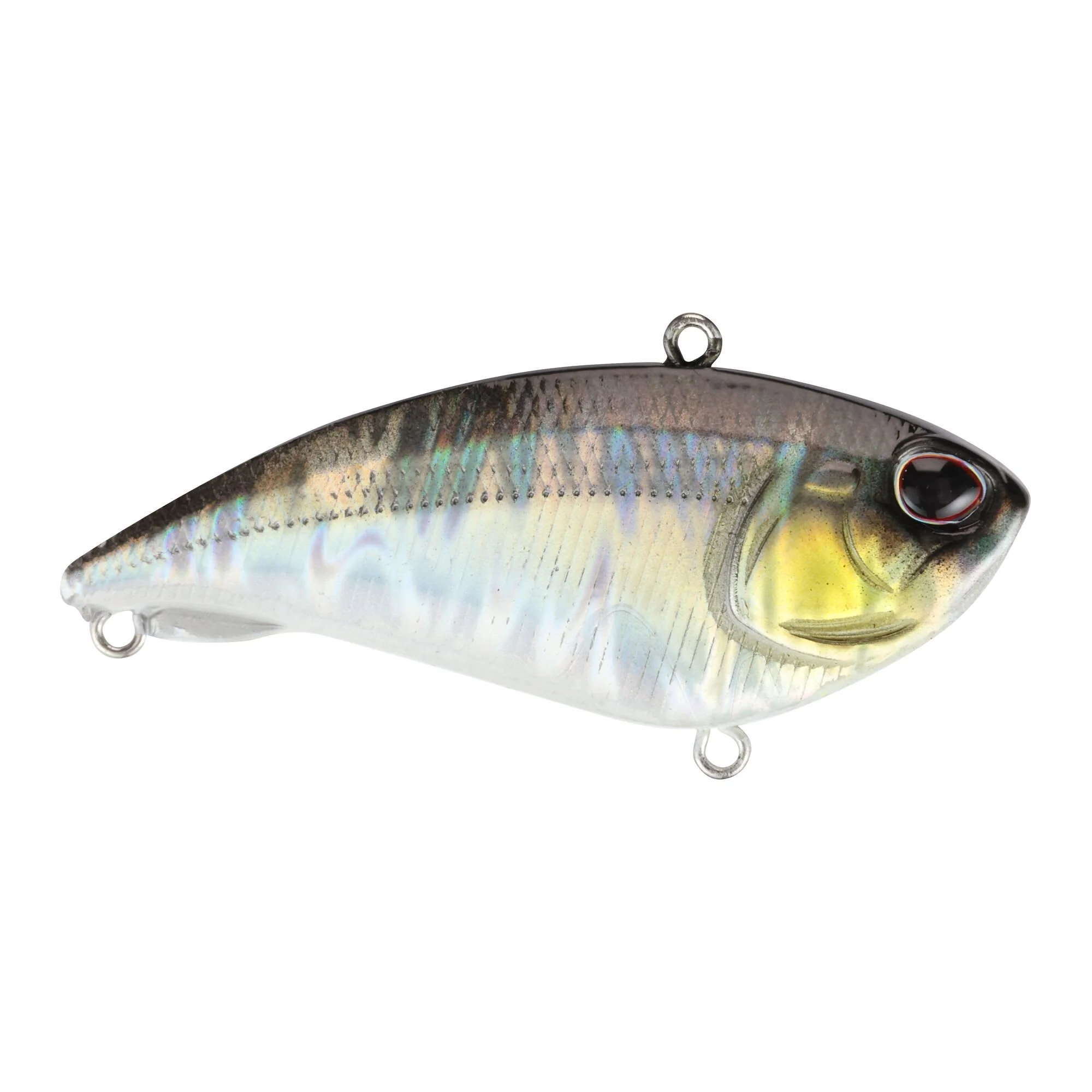 Berkley Jack - Image 25