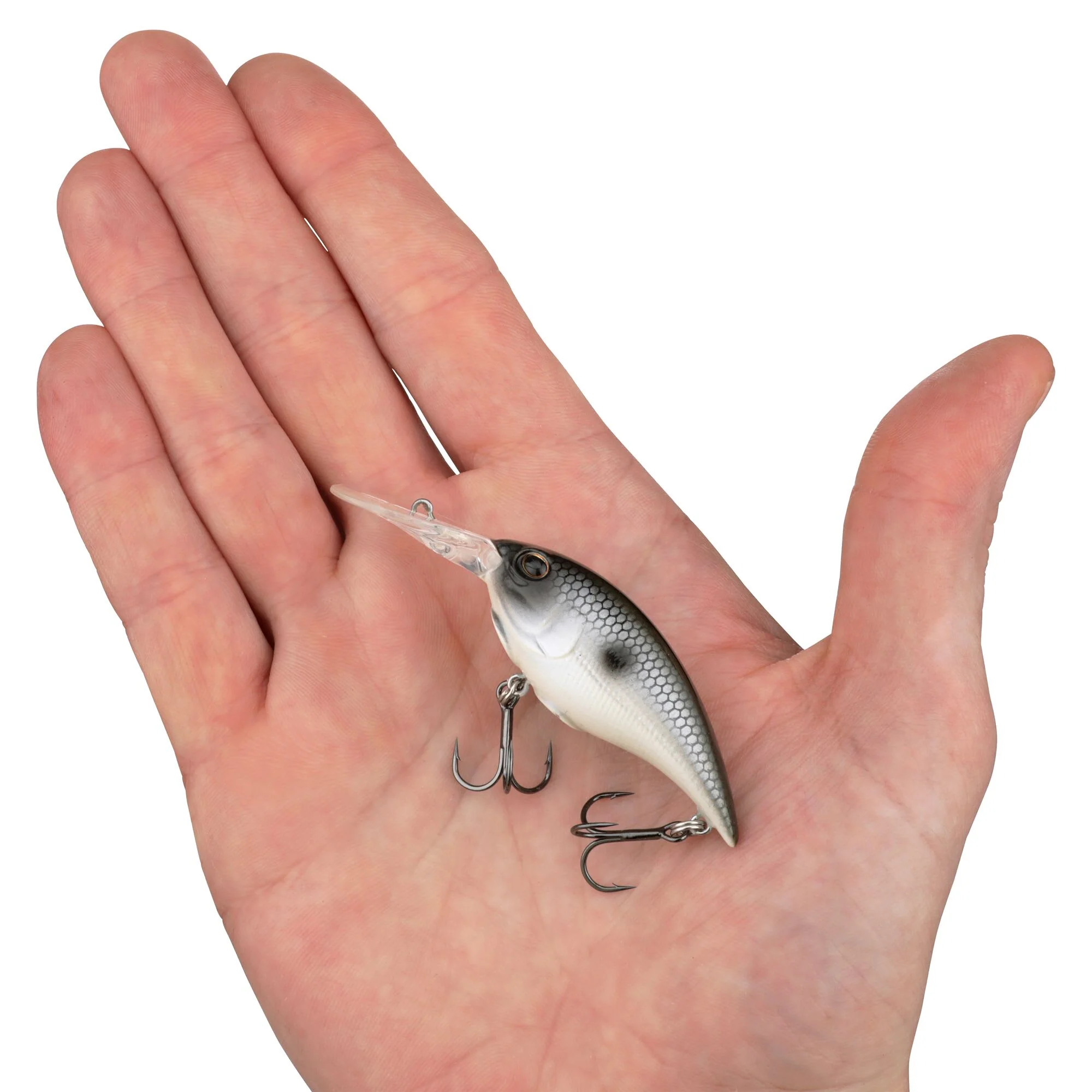 Berkley Money Badger - Image 246