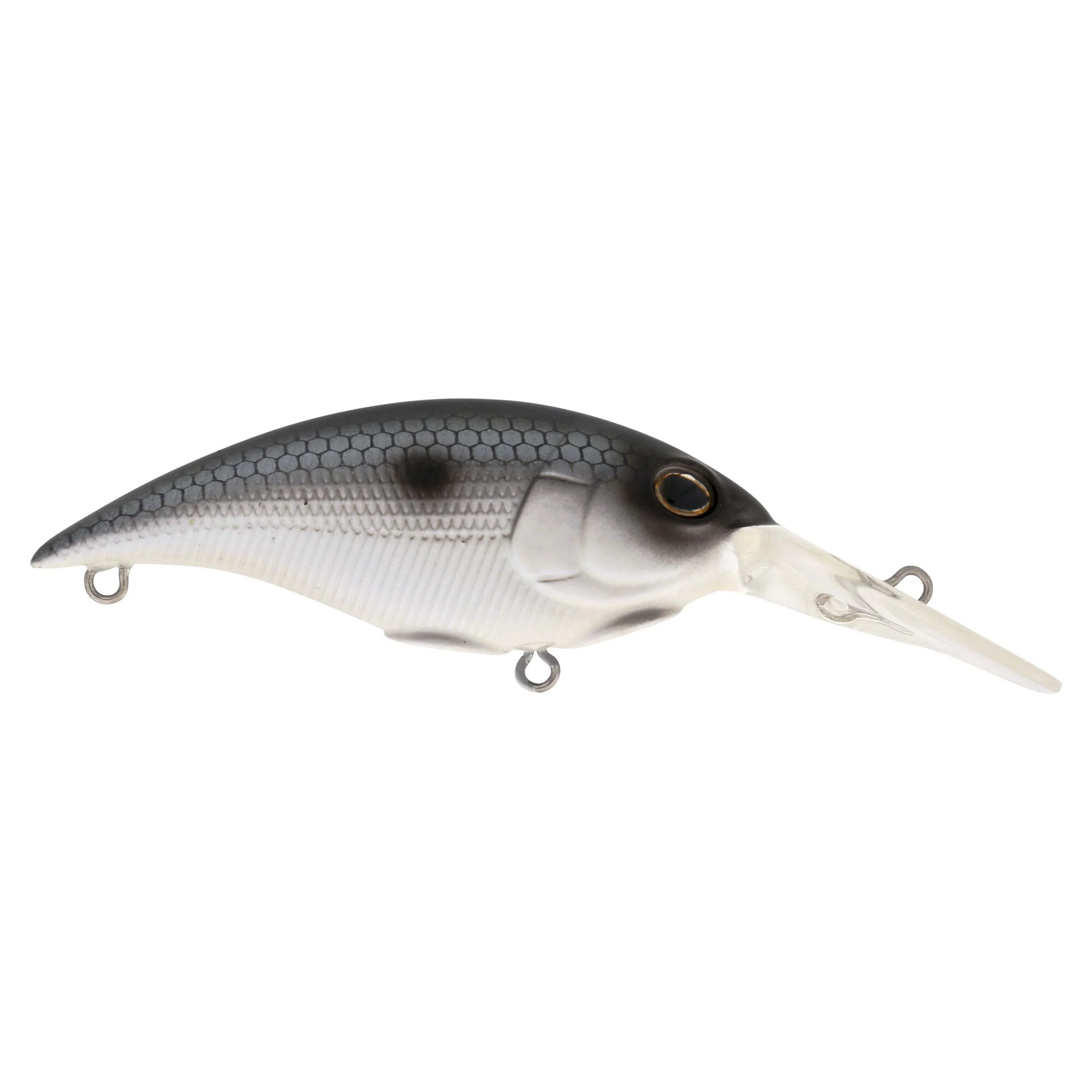 Berkley Money Badger - Image 247