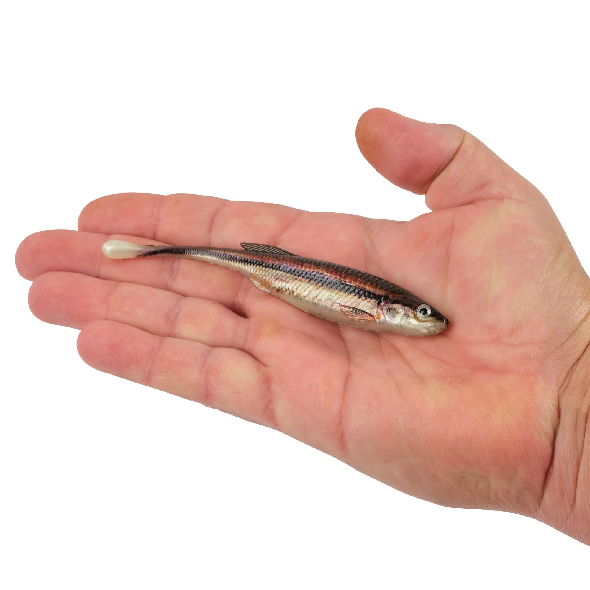 Berkley PowerBait® Drip Minnow - Image 119