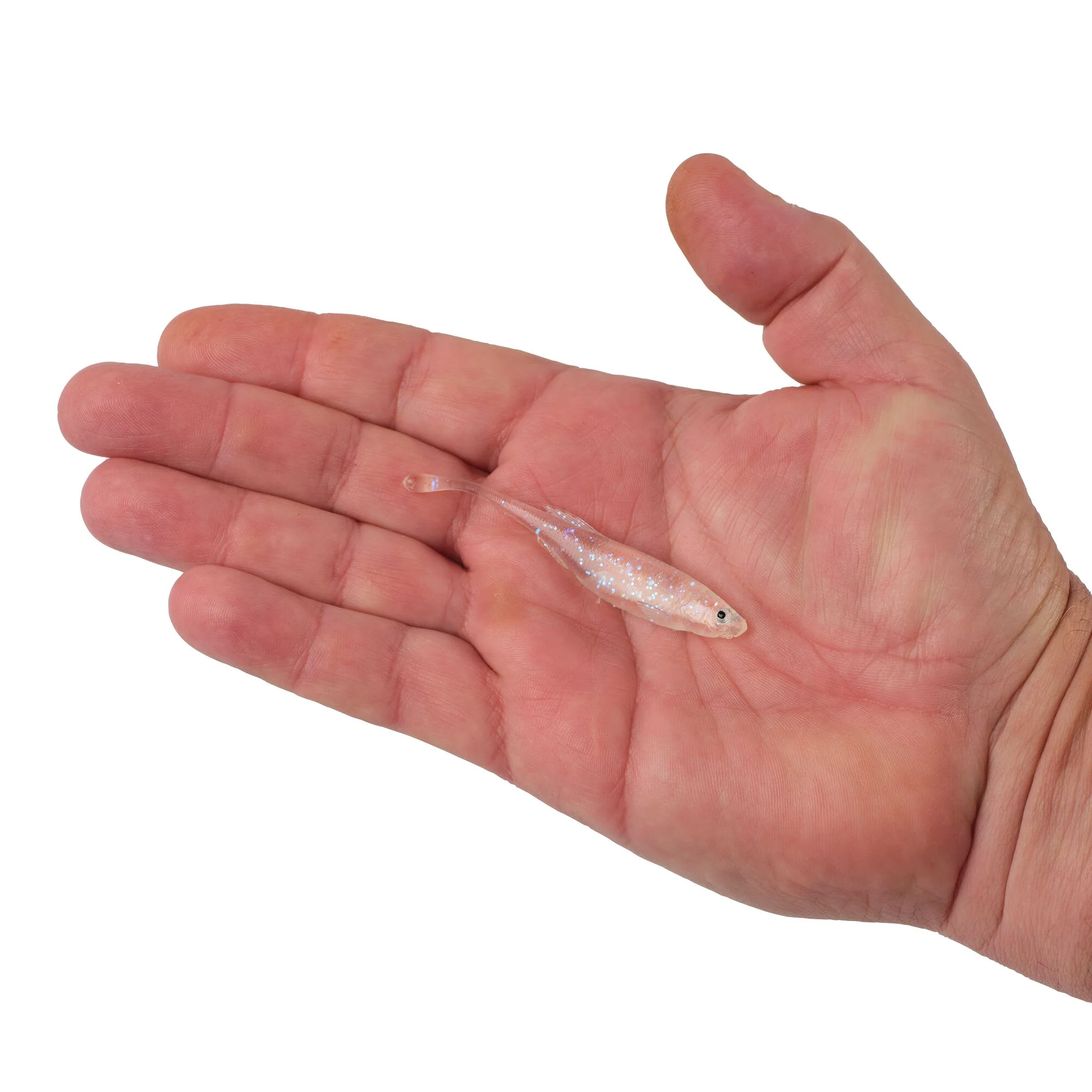 Berkley PowerBait® Drip Minnow - Image 147