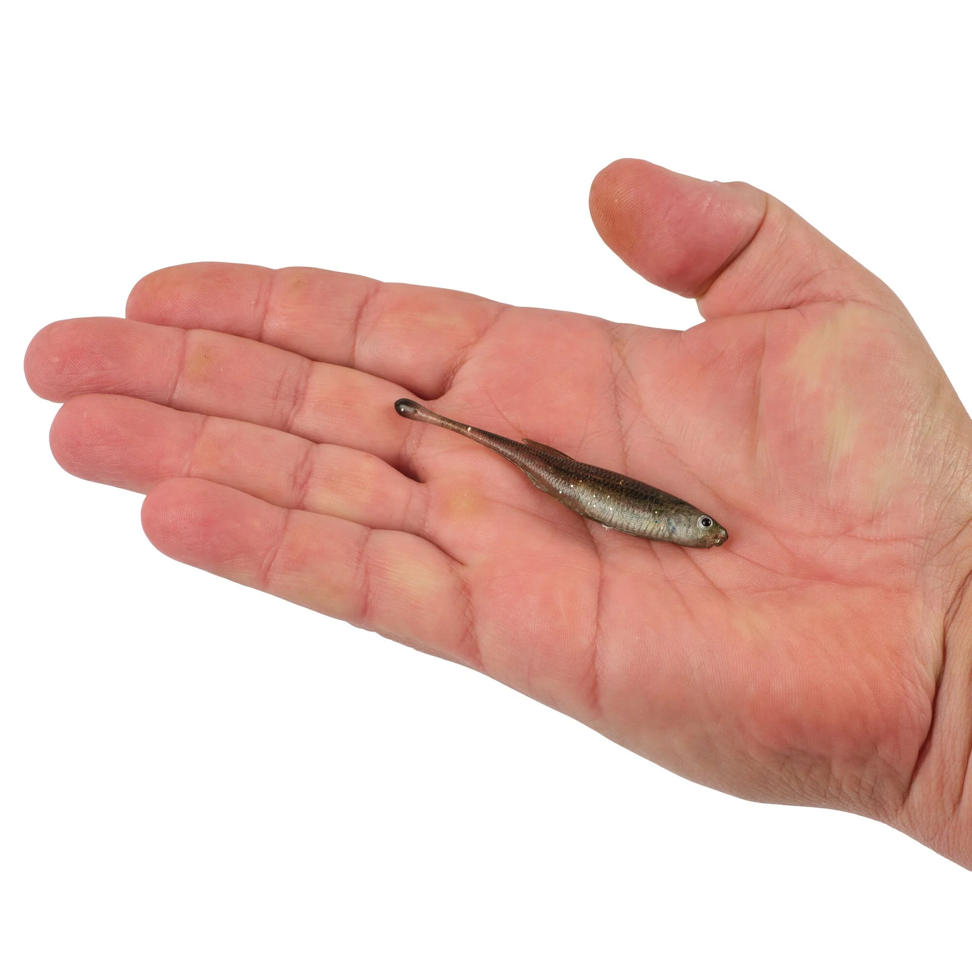 Berkley PowerBait® Drip Minnow - Image 26