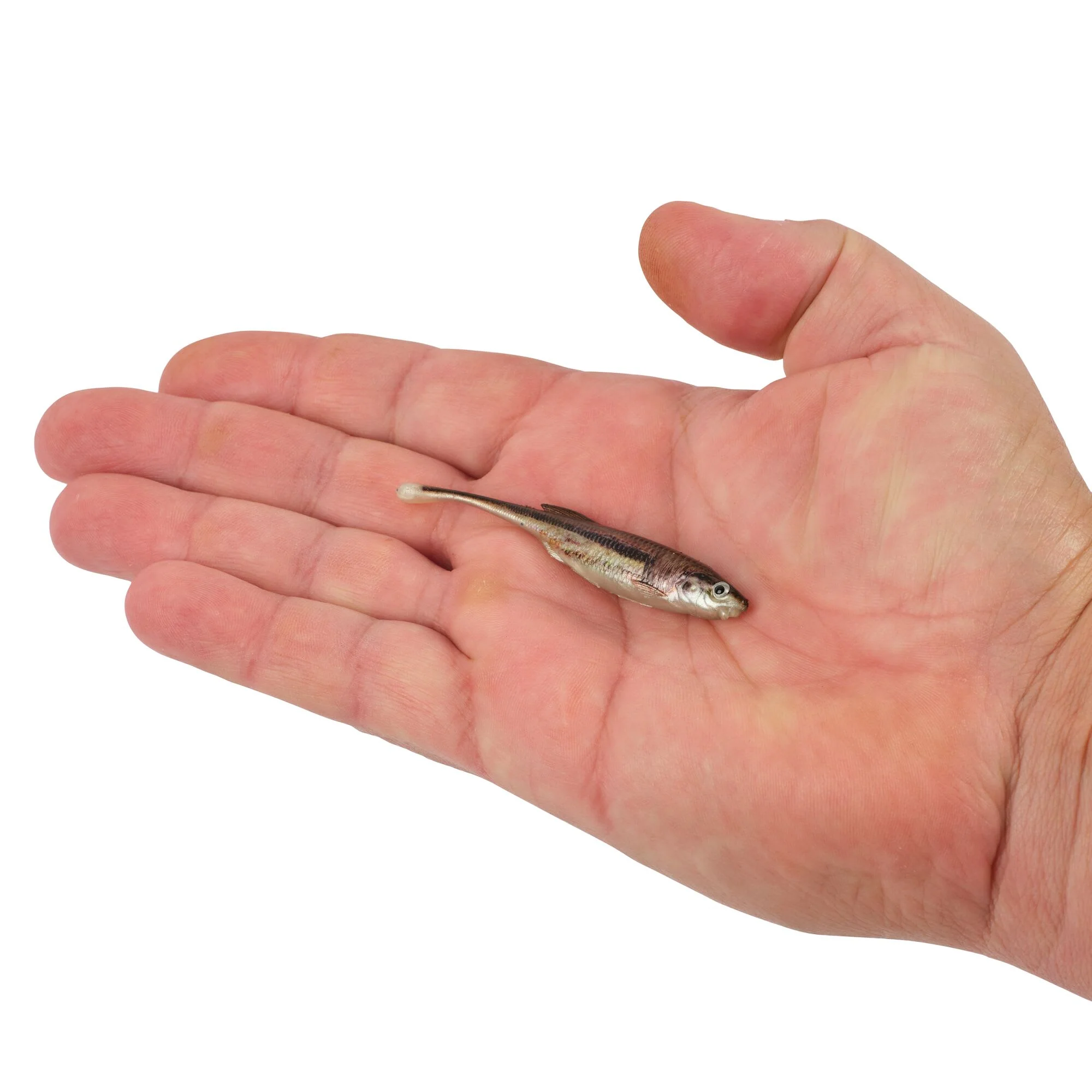 Berkley PowerBait® Drip Minnow - Image 42