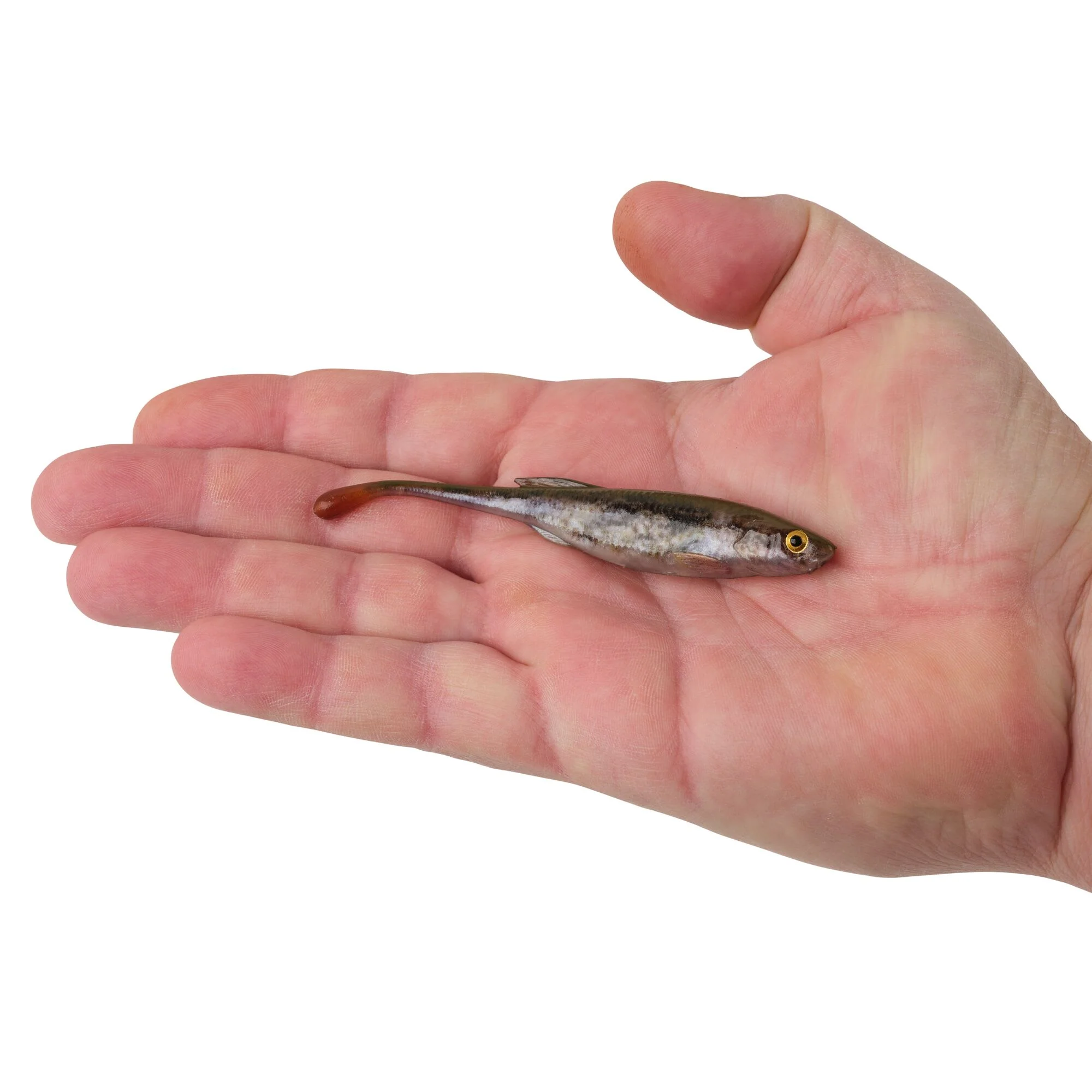 Berkley PowerBait® Drip Minnow - Image 68