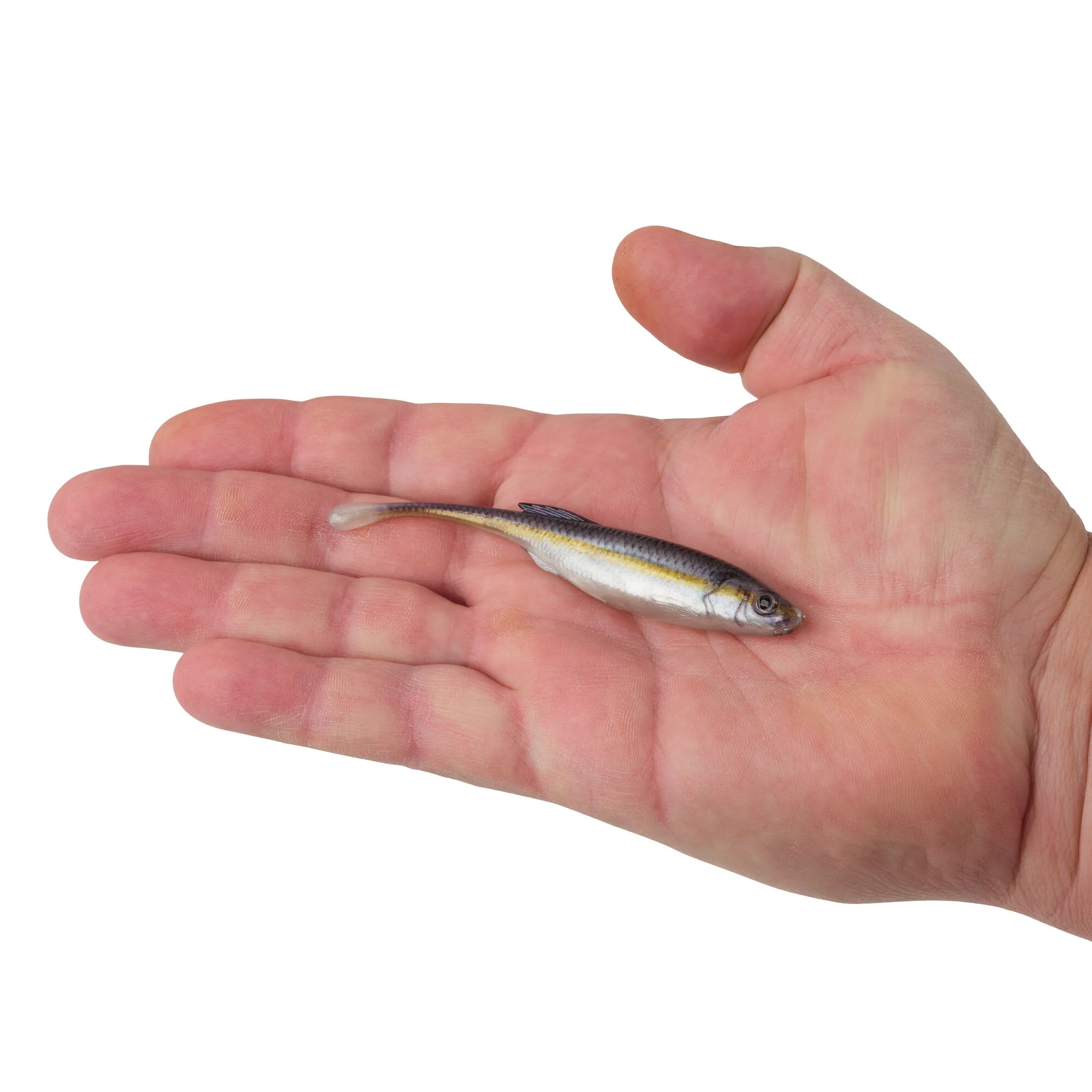 Berkley PowerBait® Drip Minnow - Image 76