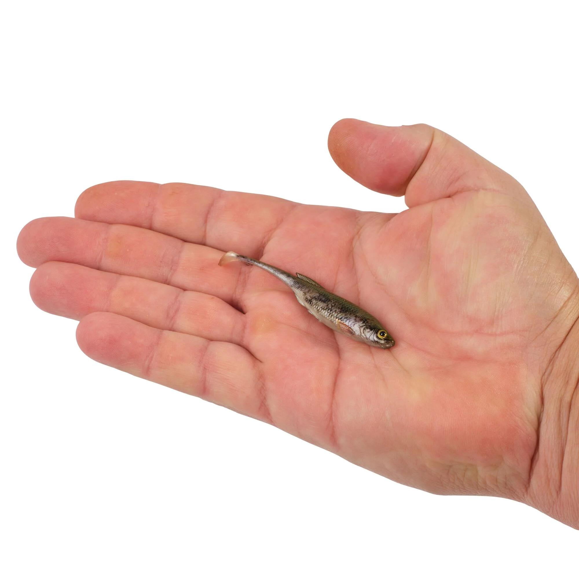 Berkley PowerBait® Drip Swimmer - Image 31
