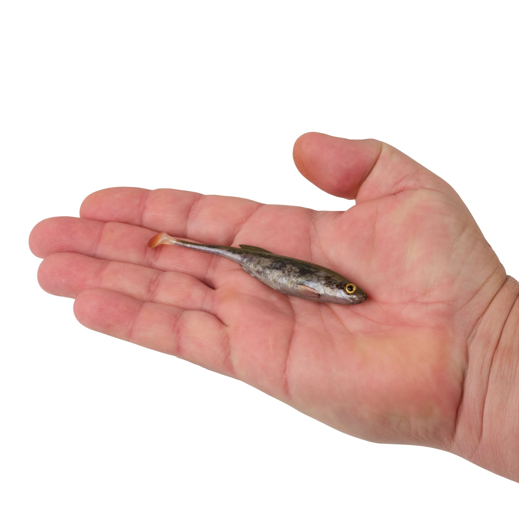 Berkley PowerBait® Drip Swimmer - Image 59
