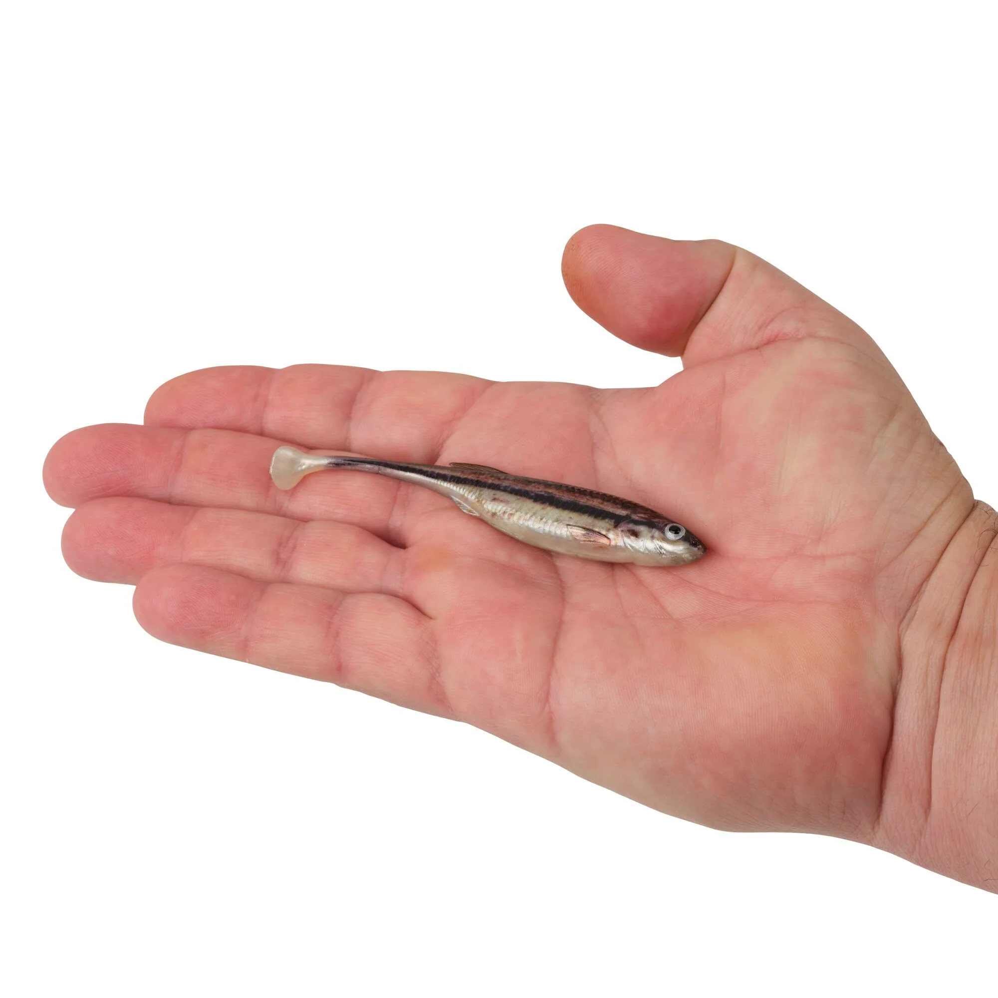 Berkley PowerBait® Drip Swimmer - Image 61