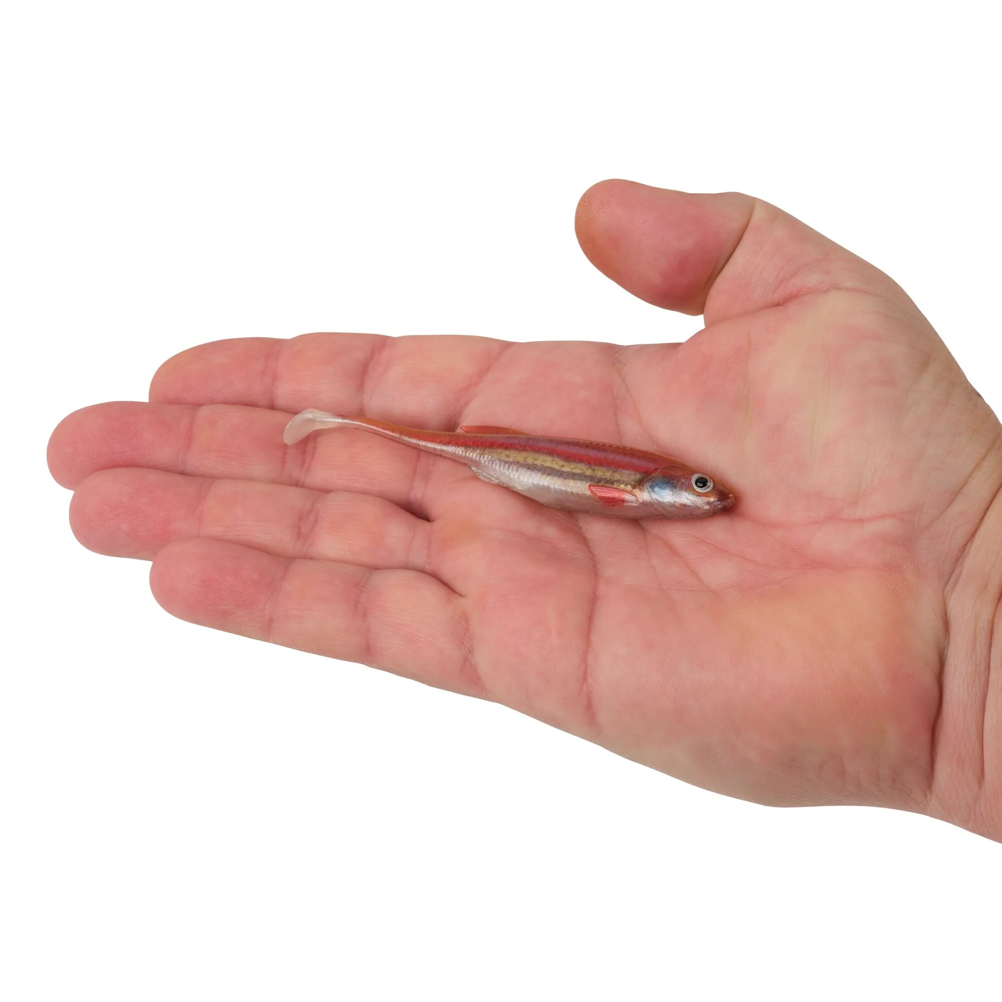 Berkley PowerBait® Drip Swimmer - Image 65