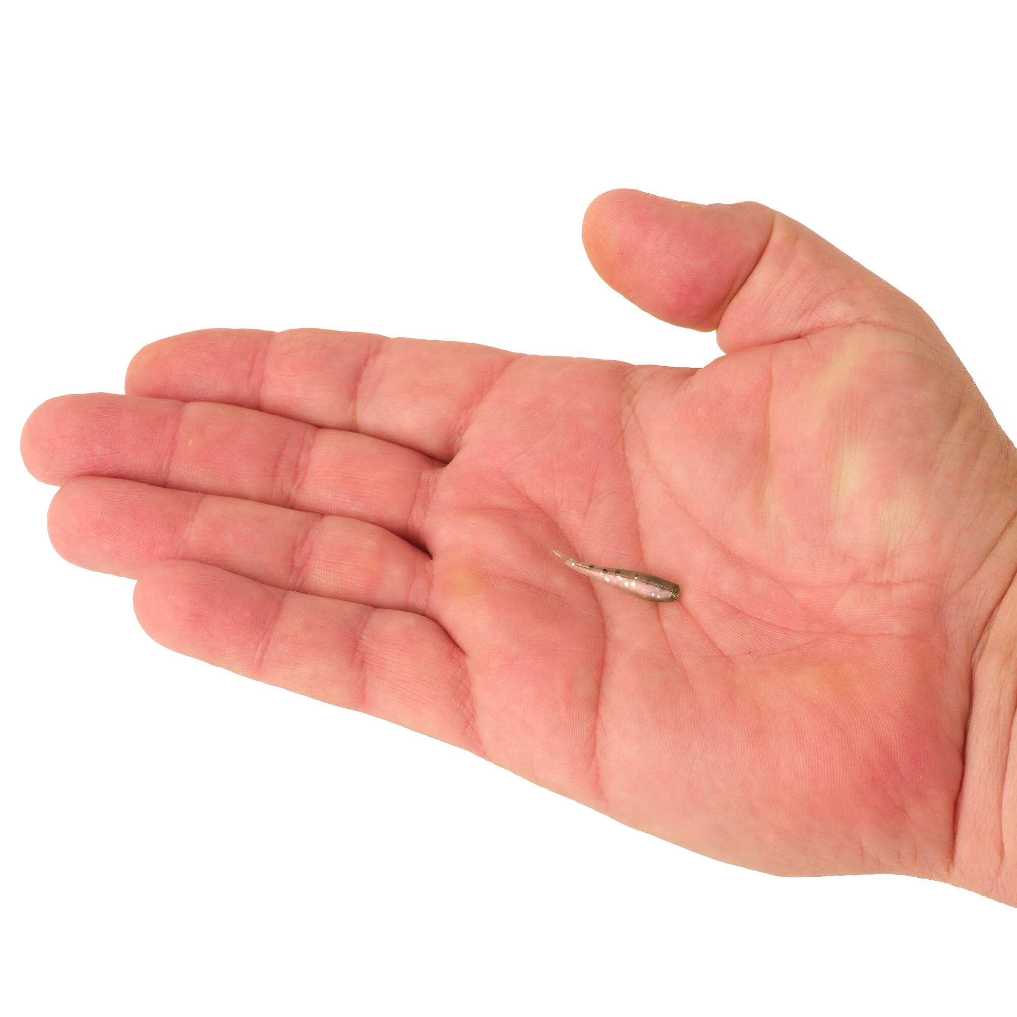 Berkley PowerBait® Minnow - Image 50