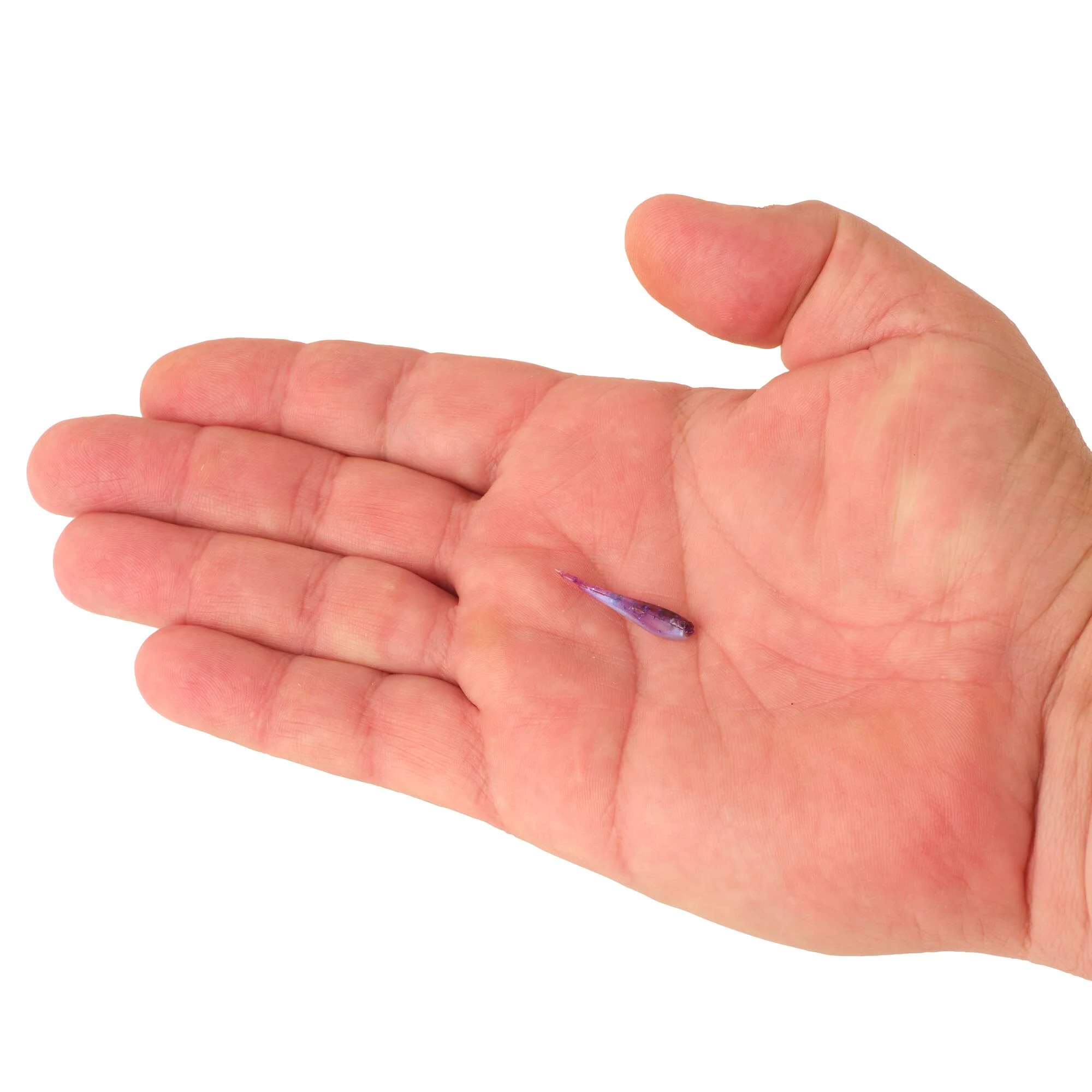 Berkley PowerBait® Minnow - Image 60