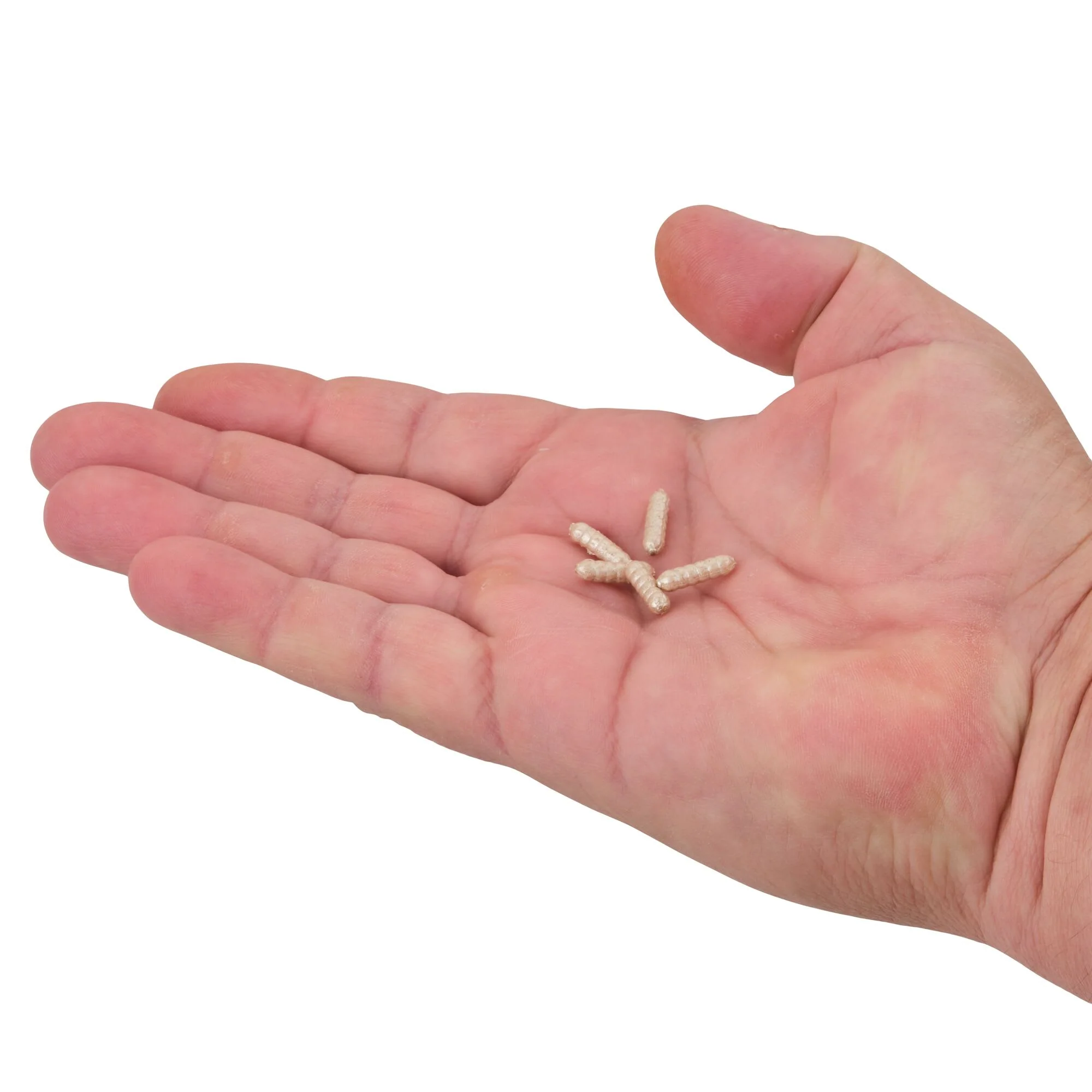 Berkley PowerBait® Power Wigglers® - Image 16