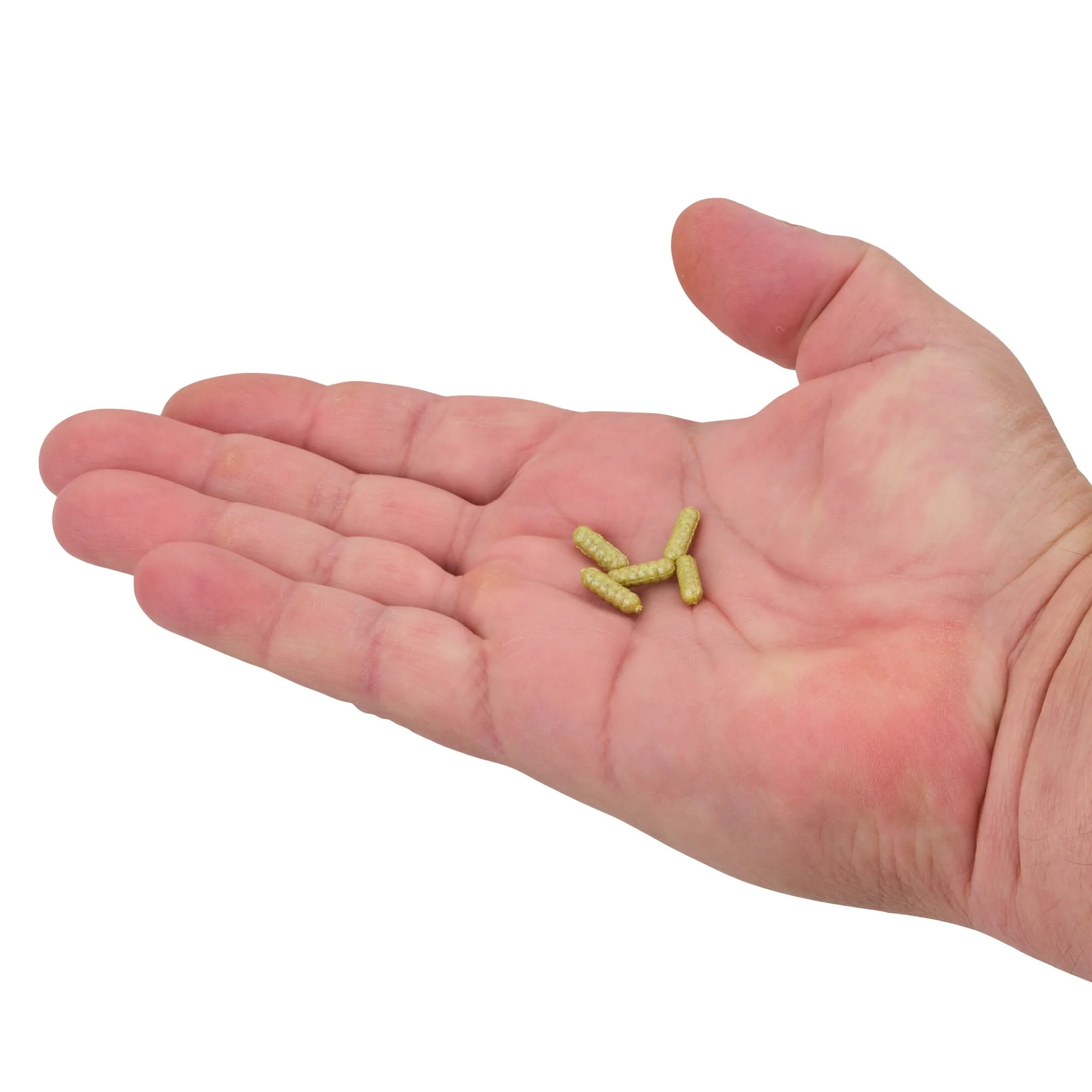 Berkley PowerBait® Power Wigglers® - Image 7