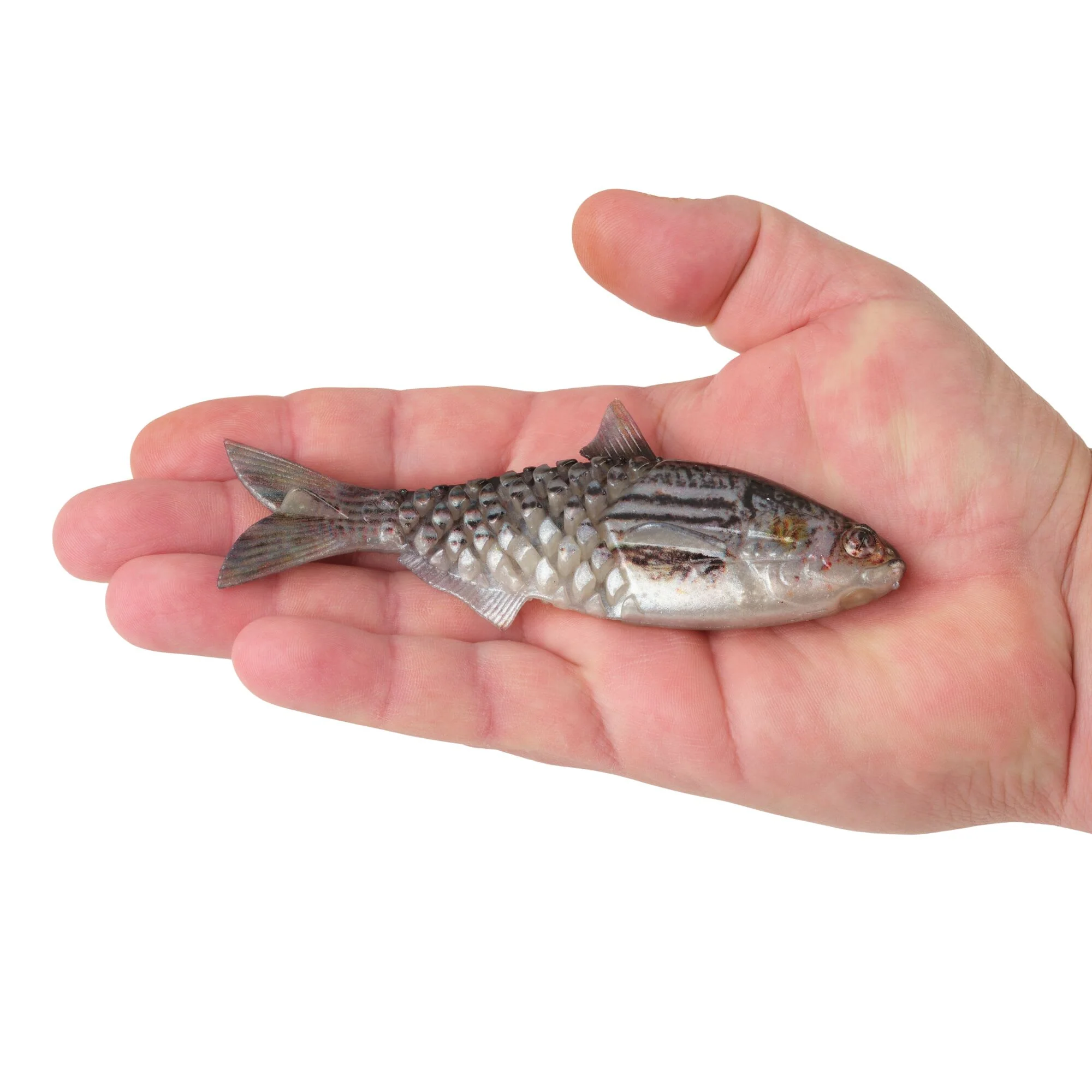 Berkley PowerBait® Saltwater Gillydine - Image 18