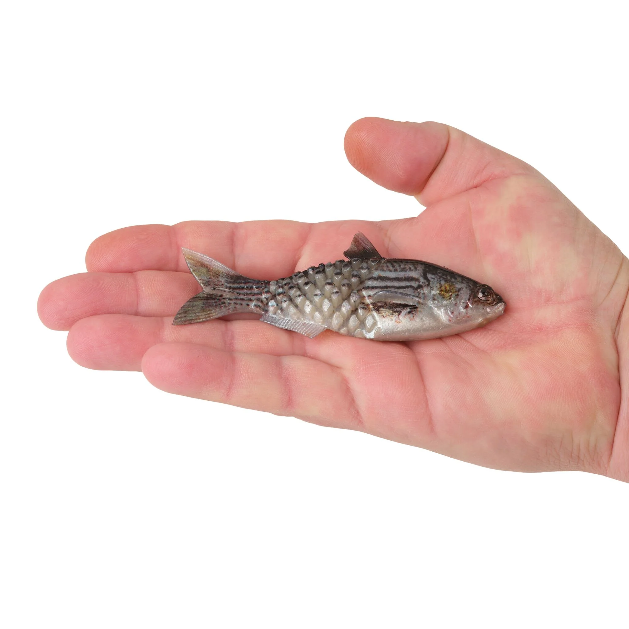 Berkley PowerBait® Saltwater Gillydine - Image 8