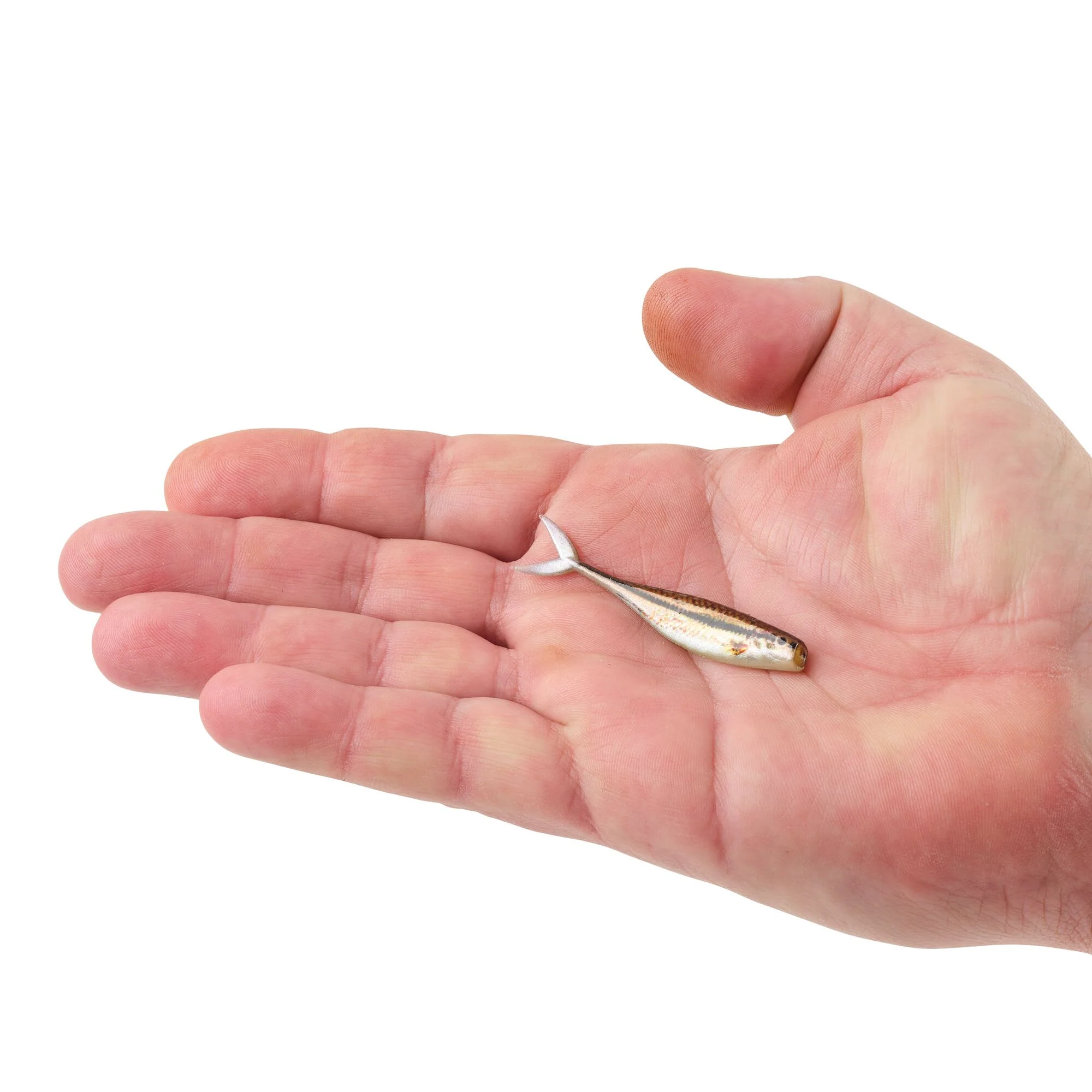 Berkley PowerBait® The Champ Minnow - Image 39