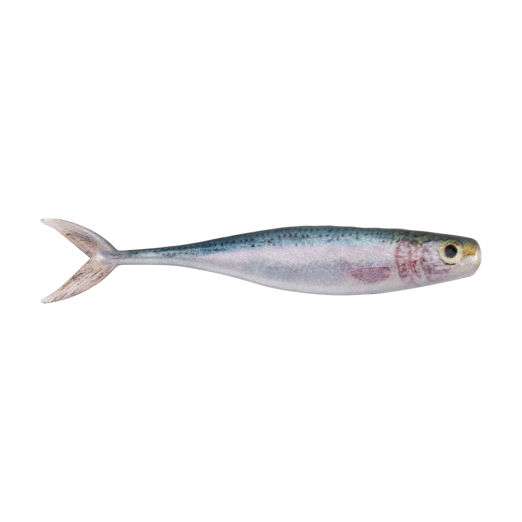 Berkley PowerBait® The Champ Minnow - Image 4