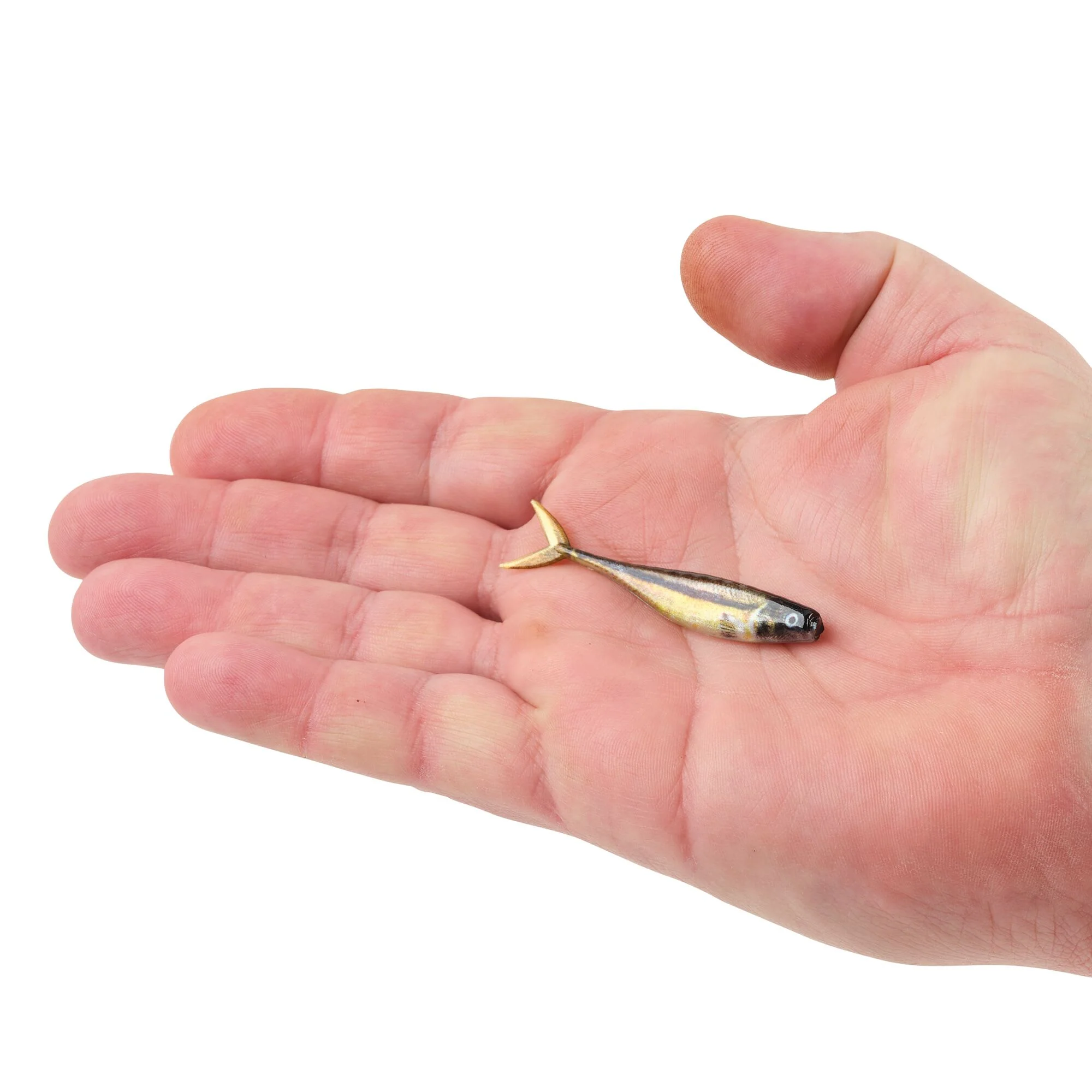 Berkley PowerBait® The Champ Minnow - Image 45