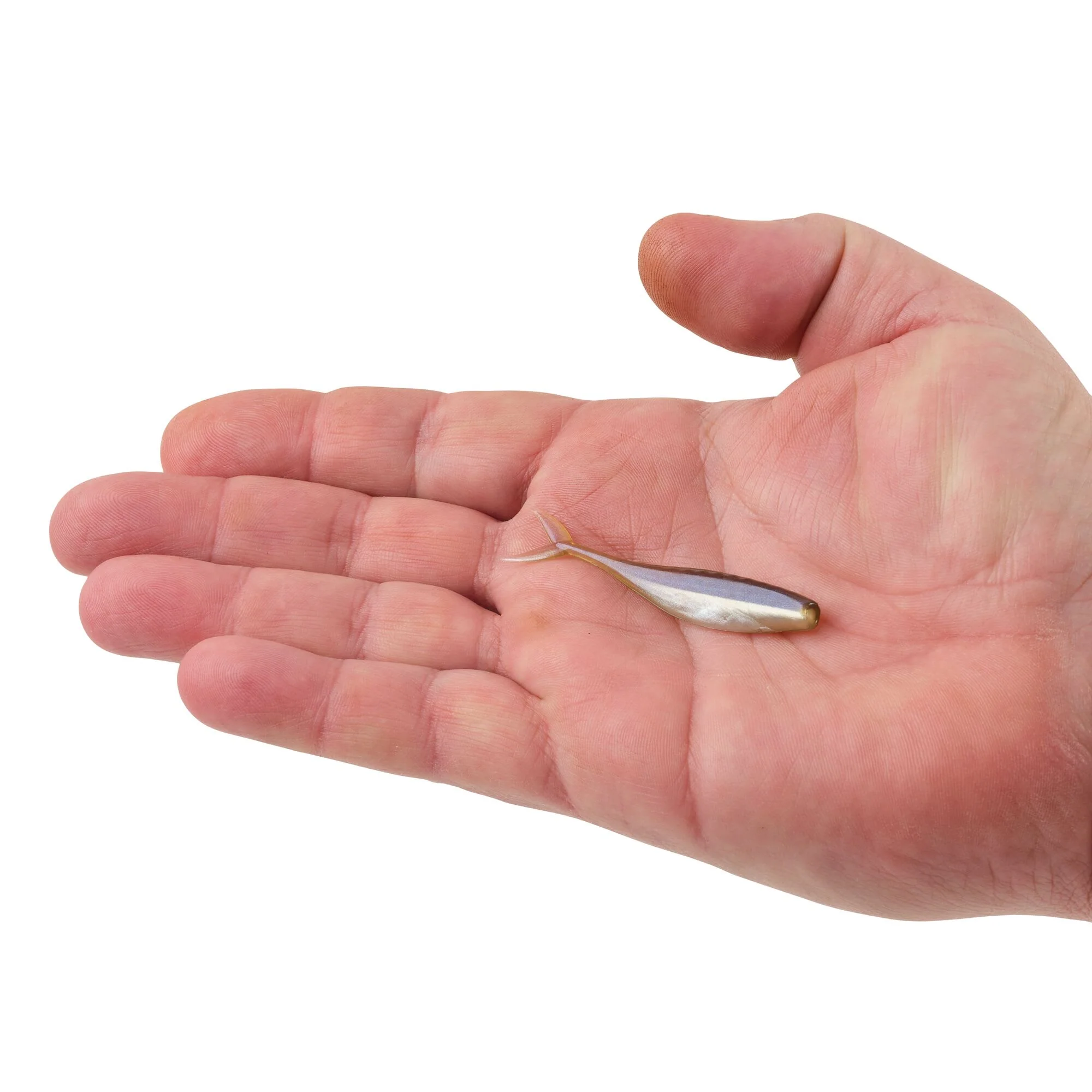 Berkley PowerBait® The Champ Minnow - Image 61