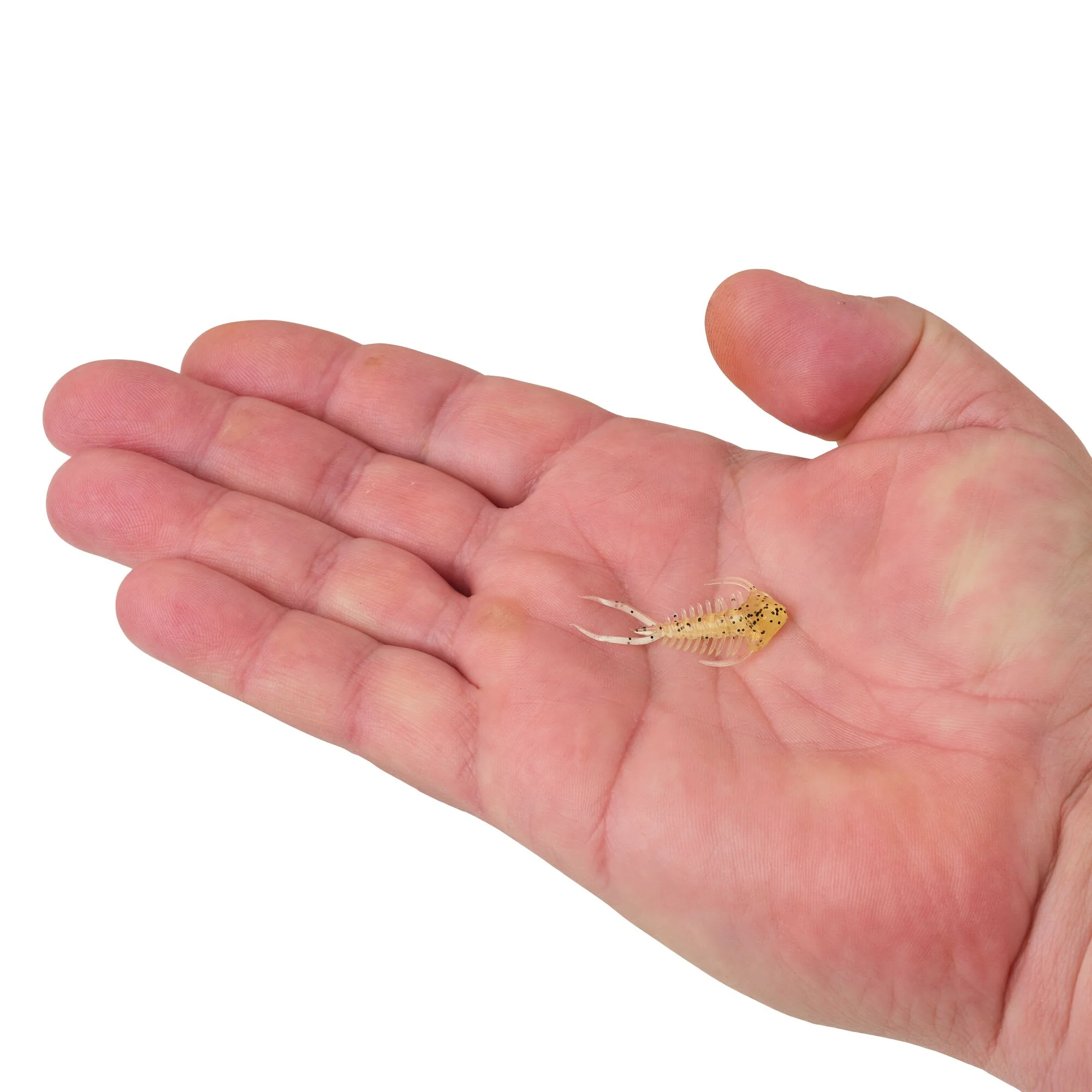 Berkley PowerBait® Trilobite - Image 14