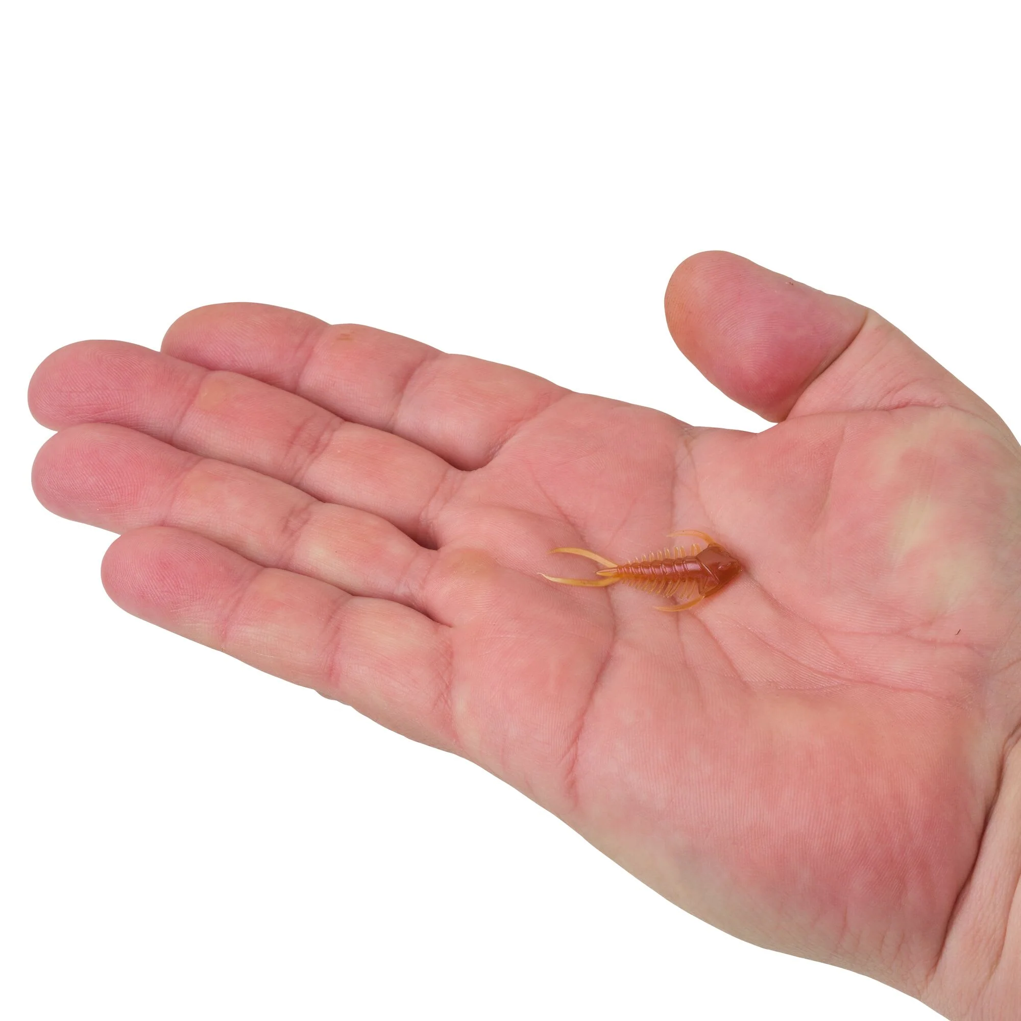 Berkley PowerBait® Trilobite - Image 16