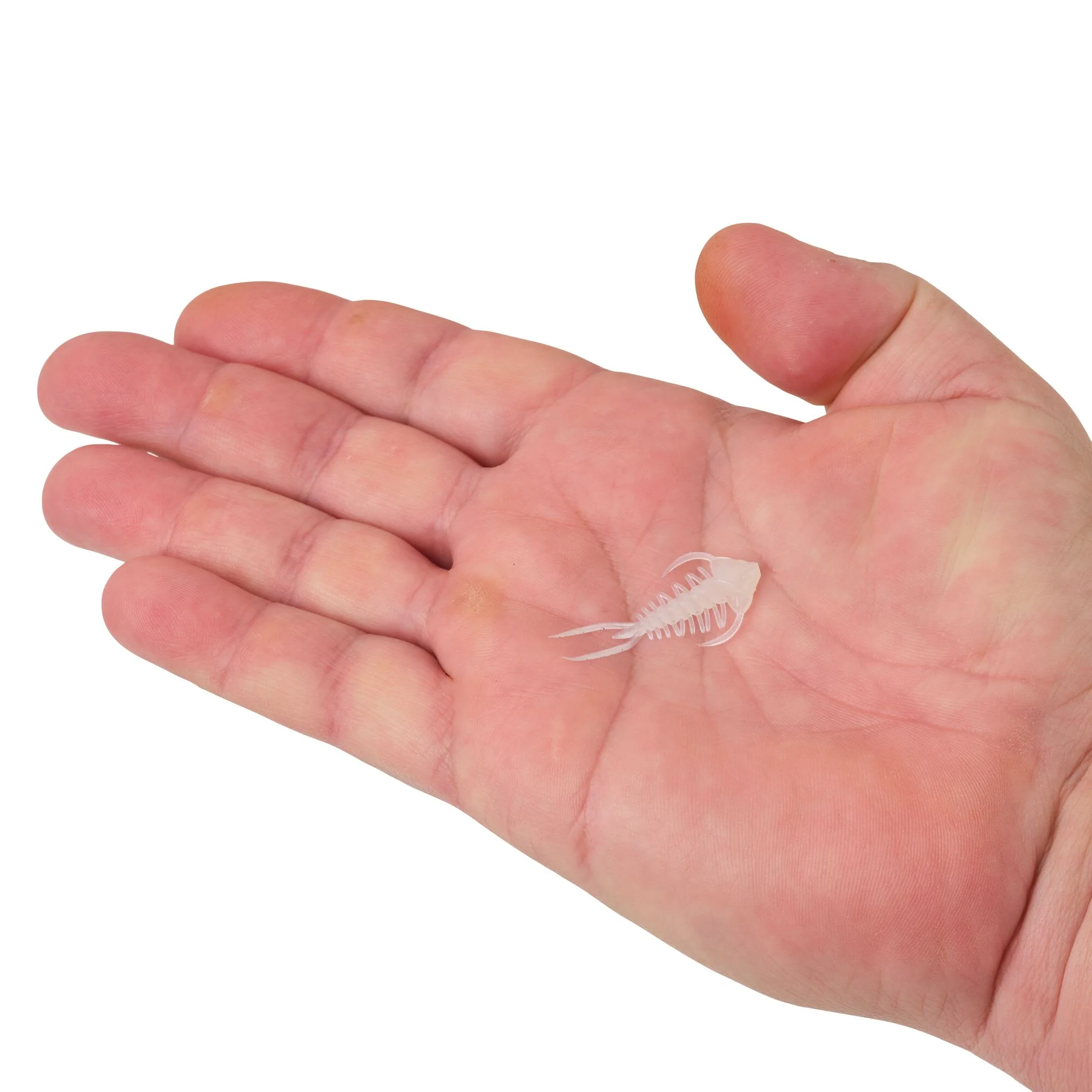 Berkley PowerBait® Trilobite - Image 18