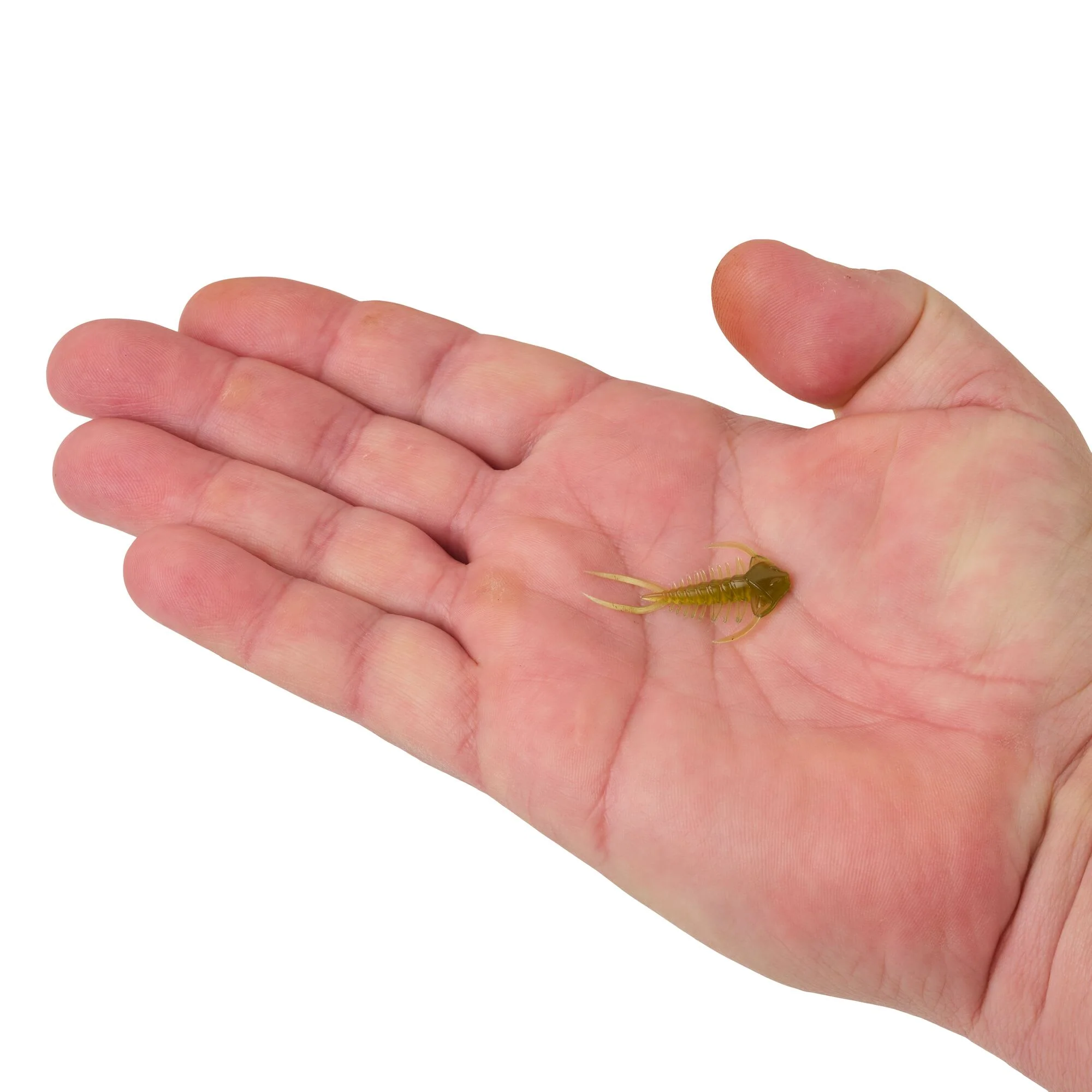 Berkley PowerBait® Trilobite - Image 20