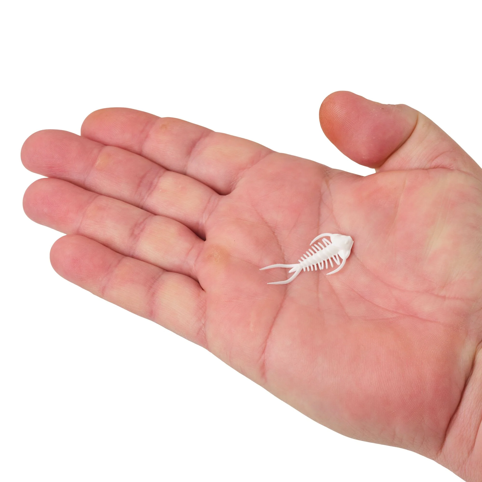 Berkley PowerBait® Trilobite - Image 30