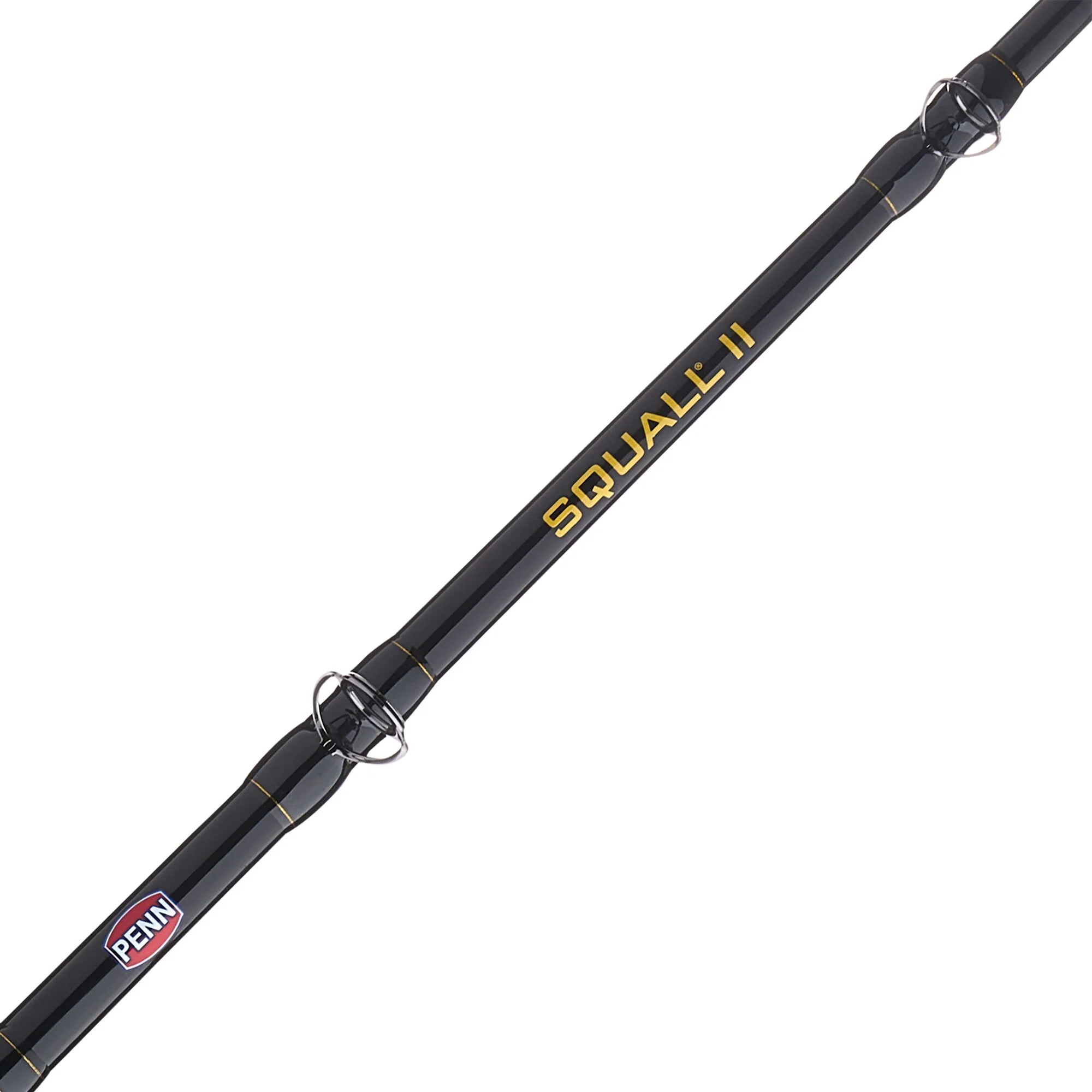PENN Squall® II Lever Drag Conventional Combo - Image 33